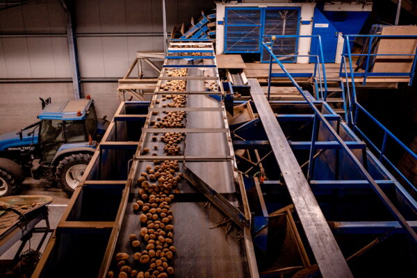 Aardappelhandel Mol 13